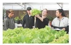 Picture of students in greenhouse with leafy greens